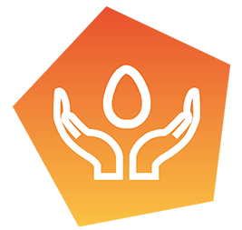 Best Incubation Program